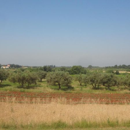 Apartments Zdravac Umag Luaran gambar