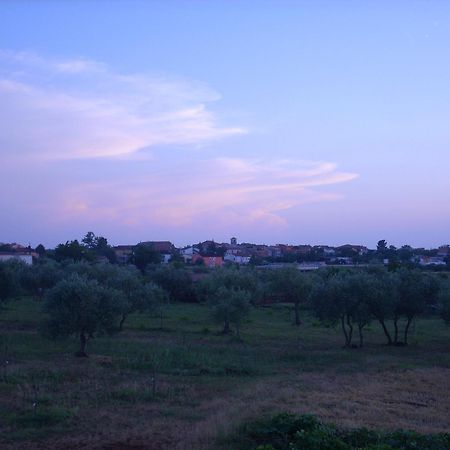 Apartments Zdravac Umag Luaran gambar