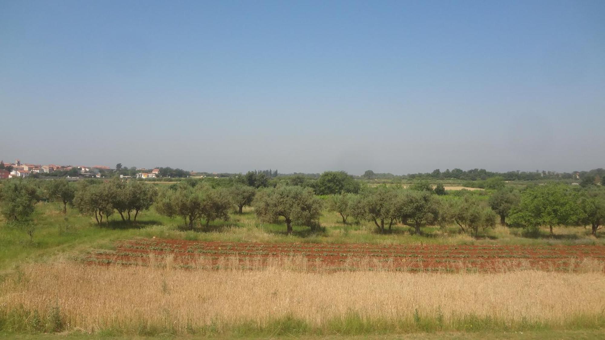 Apartments Zdravac Umag Luaran gambar