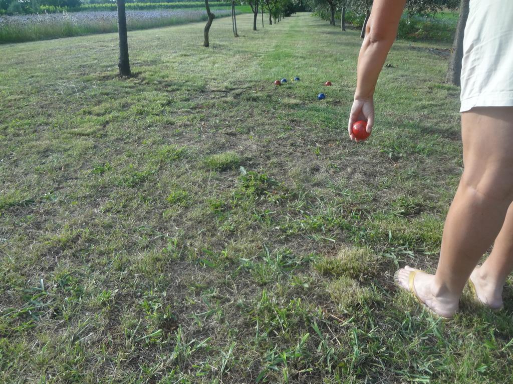 Apartments Zdravac Umag Luaran gambar